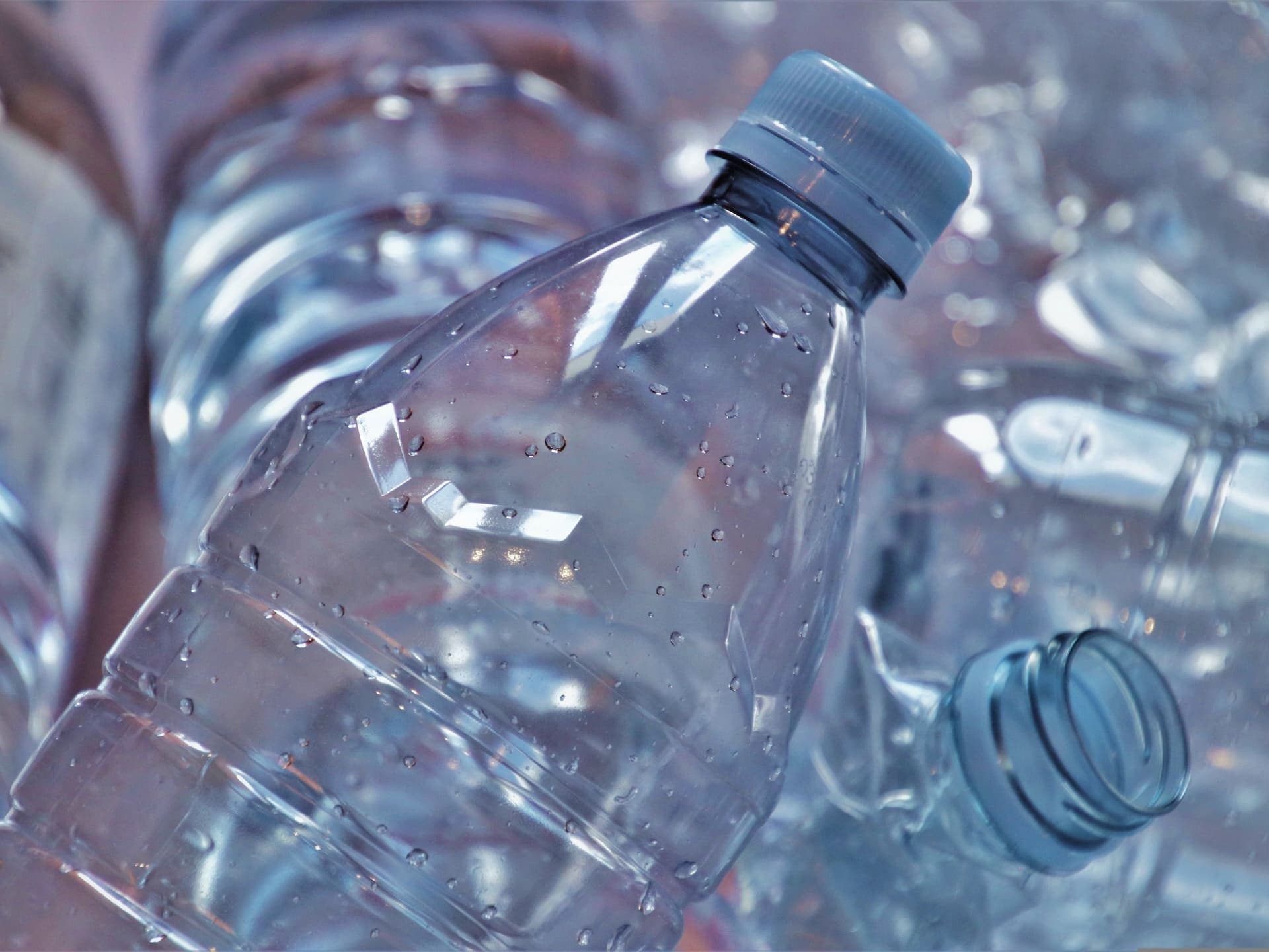 Plastic Takeout Containers Linked to Increased Risk of Congestive Heart Failure